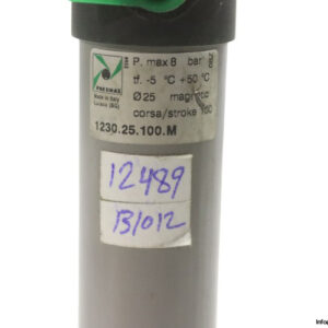 pneumax-1230.25.100.M-pneumatic-cylinder-(New)-1