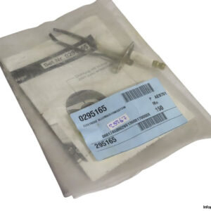 0295165-spark-plug-ignitor-(new)-1