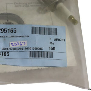 0295165-spark-plug-ignitor-(new)-2