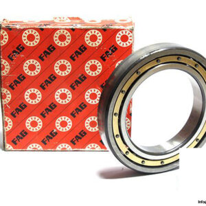 fag-6021M.C4.S1-deep-groove-ball-bearing