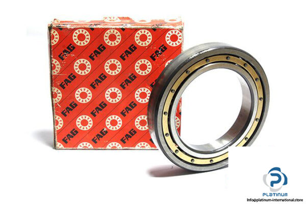 fag-6021M.C4.S1-deep-groove-ball-bearing