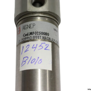 aignep-MF0250080-pneumatic-cylinder-(used)-1