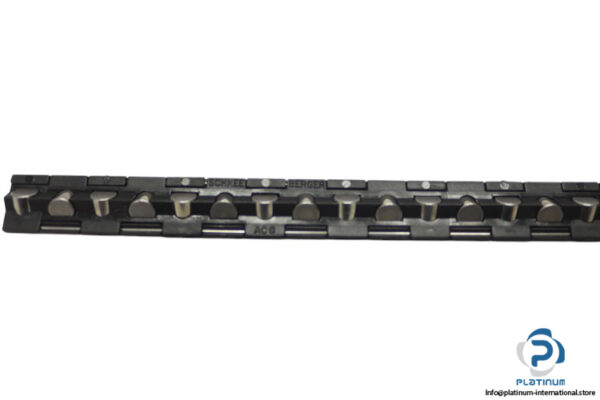 schneeberger-AC6-roller-cage-new-2