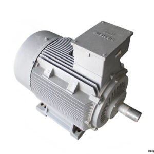 siemens-1LA6-313-8AB70Z-315M-3-phase-electric-motor-new