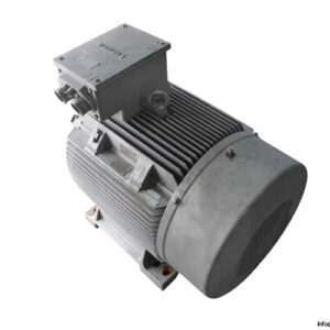 siemens-1LA6-313-8AB70Z-315M-3-phase-electric-motor-new-1