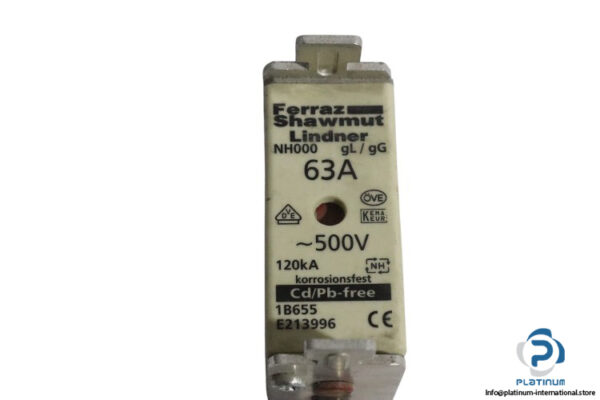 Ferraz-shawmut-NH000-GL-GG-fuse-link(used)-2