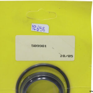 509981-seal-kit-(new)-1