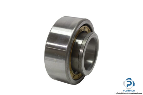 tmb-NUP2310M-cylindrical-roller-bearing-new