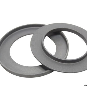 skf-Z-009-sealing-washer-new