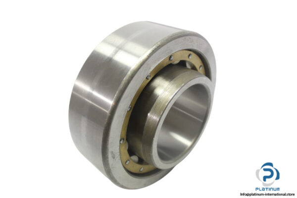 dkfddr-NU-2317-cylindrical-roller-bearing-new