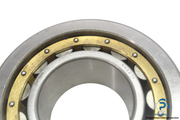 dkfddr-NU-2317-cylindrical-roller-bearing-new-1