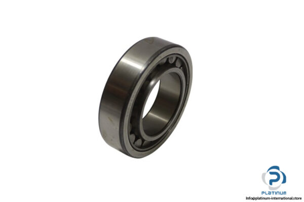 skf-NU-2211ECJ-cylindrical-roller-bearing-new