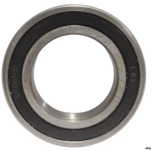 ldi-6008-2RS-deep-groove-ball-bearing-new-1