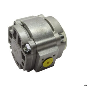 eckerle-EIPS2-008LD34-11-hydraulic-gear-pump-(New)-1