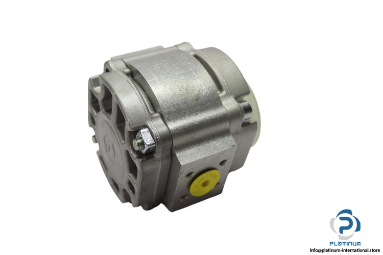 eckerle-EIPS2-008LD34-11-hydraulic-gear-pump-(New)-1