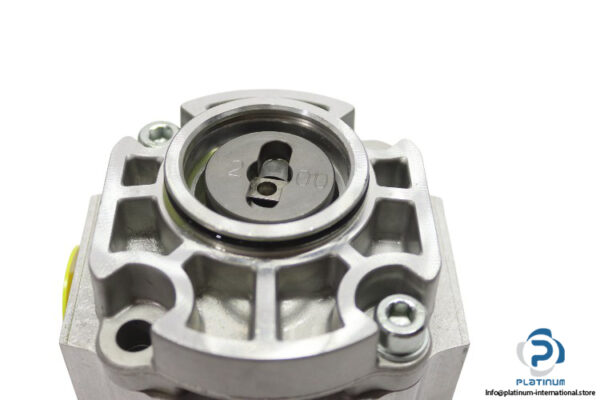 eckerle-EIPS2-008LD34-11-hydraulic-gear-pump-(New)-2