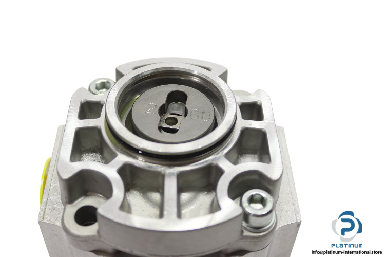 eckerle-EIPS2-008LD34-11-hydraulic-gear-pump-(New)-2