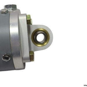 aventics-5218555800-diaphragm-and-piston-actuator(new)-2