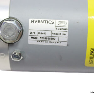 aventics-5218555800-diaphragm-and-piston-actuator(new)-3