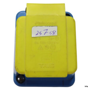 palazzoli-FR-42376-isolator-switch(used)-2