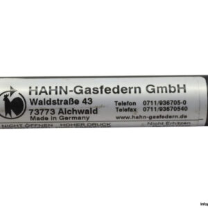 hahn-gasfedern-191511.1-gas-spring-(new)-2