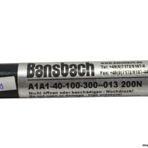 bansbach-A1A1-40-100-300--013-gas-spring-(new)-2