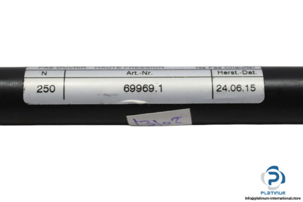 hahn-gasfedern-69969.1-gas-spring-(new)-3