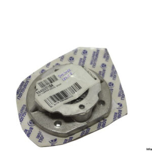 bonfiglioli-194000104-flange-kit(new)