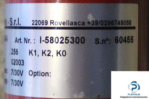 sew-dft80n4_bmg_ev1a-geared-motor-6