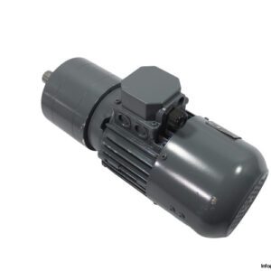 th.zurrer-IN71C4-gearmotor-new-4