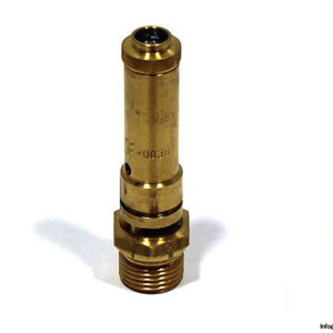 riegler-104377-full-stroke-safety-valve