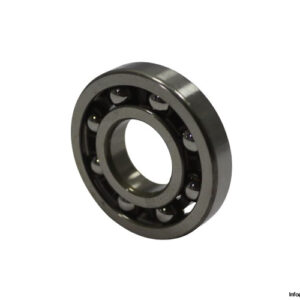 ina-18204-ball-bearing-new-1