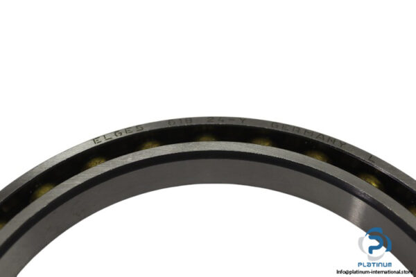 elges-61824-Y-deep-groove-ball-bearing-new-1