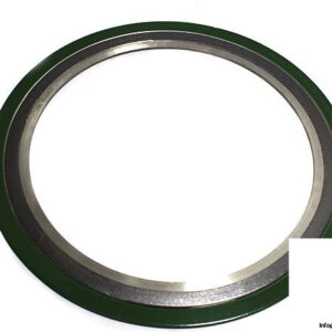 leader-11387504-spiral-wound-gasket