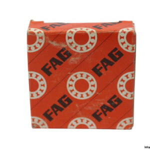 fag-6004-deep-groove-ball-bearing-(new)-(carton)