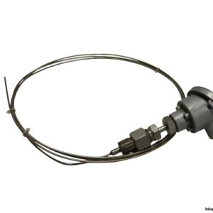 watlow-RTD-PT100-OHM-temperature-sensor-(new)