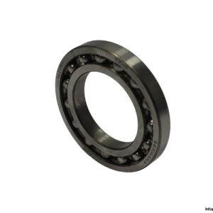 fag-16009-deep-groove-ball-bearing-new