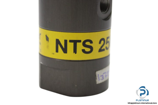 netter-vibration-NTS-250-HF-pneumatic-linear-vibrator-(Used)-1