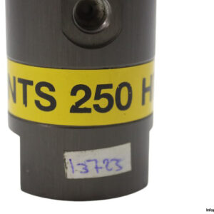 netter-vibration-NTS-250-HF-pneumatic-linear-vibrator-(Used)-2