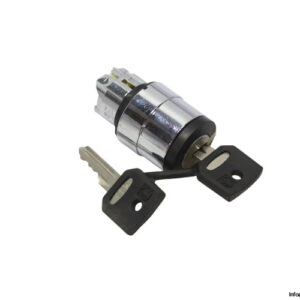 telemecanique-ZB4-BG3-key-switch-selector-head-(new)