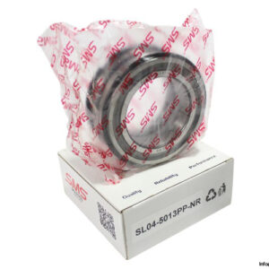 SL04-5013PP-NR-double-row-cylindrical-roller-bearing-new-carton