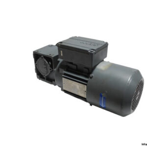 sew-WF20-DT71D4_BMG-gearmotor-used