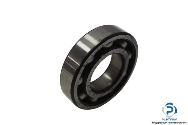 skf-6207-Z-deep-groove-ball-bearing-new-1