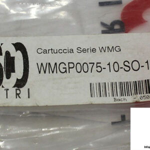 asco-wmgp0075-10-so-12-replacement-filter-element-2