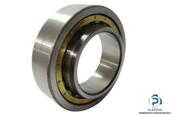 dkfddr-NU-2228-E-cylindrical-roller-bearing-new