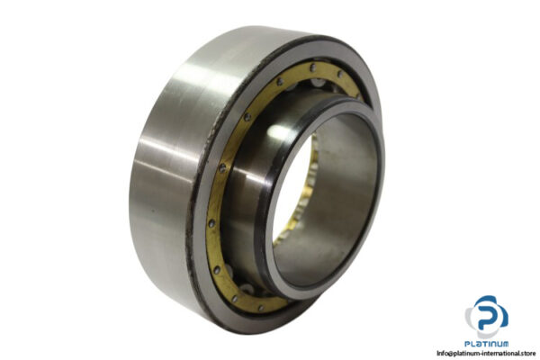 dkfddr-NU-2224-E-cylindrical-roller-bearing-new