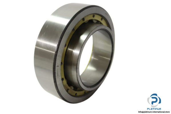 dkf-NU-2224-cylindrical-roller-bearing-new