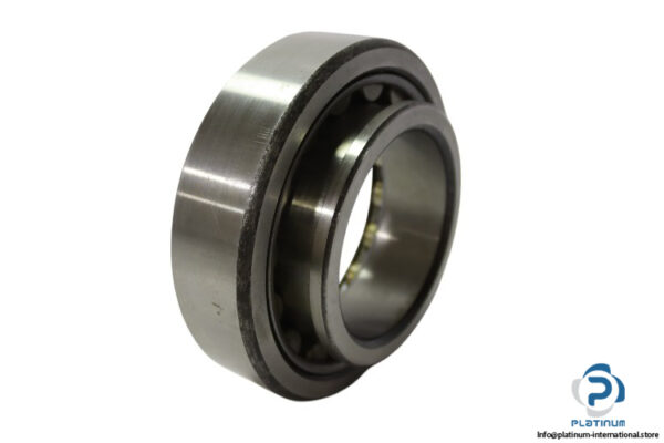 skf-NJ2219-cylindrical-roller-bearing-new