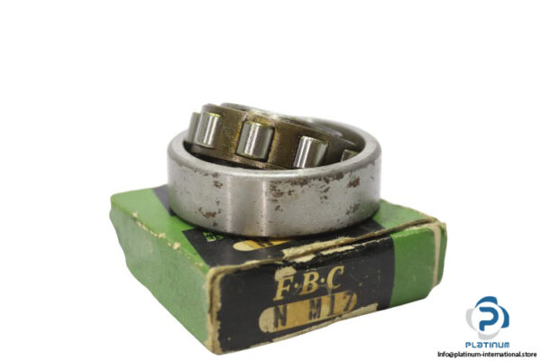 f.b.c-N-M17-roller-bearing-new-carton