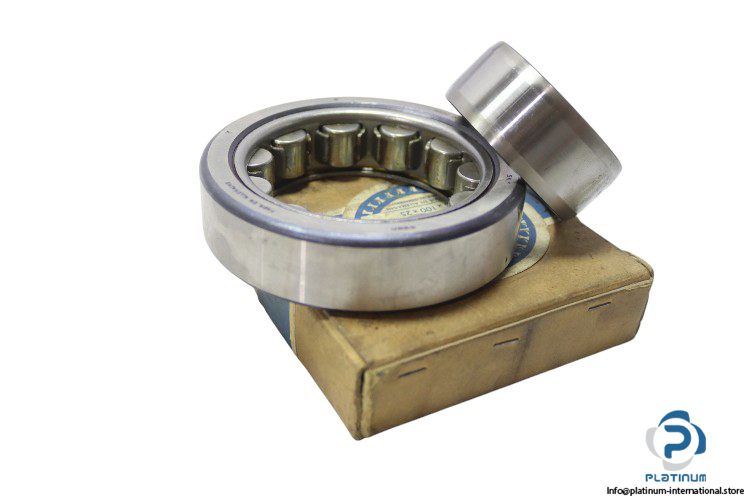 skf-NUM-45-cylindrical-roller-bearing-new-carton